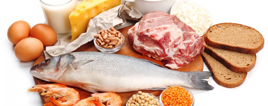 Los 10 Alimentos Más Ricos En Proteínas Alimentos Proteicos 1997