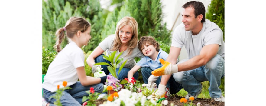 Consejos para conseguir un jardín de ensueño en primavera